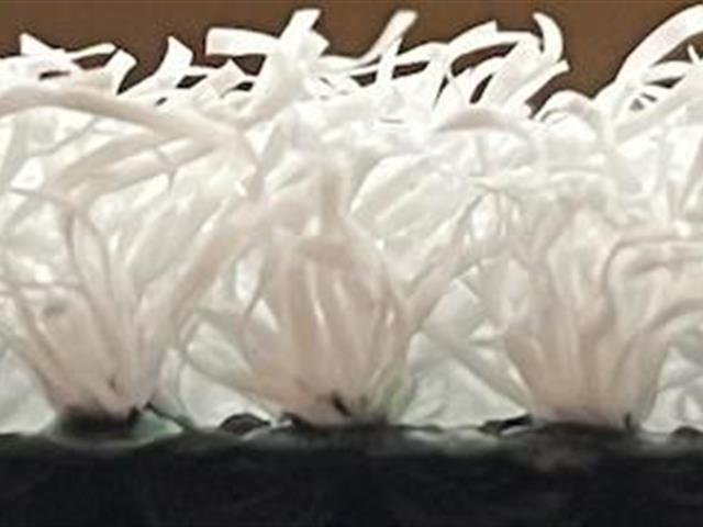 side view of verde prime lite white artificial grass