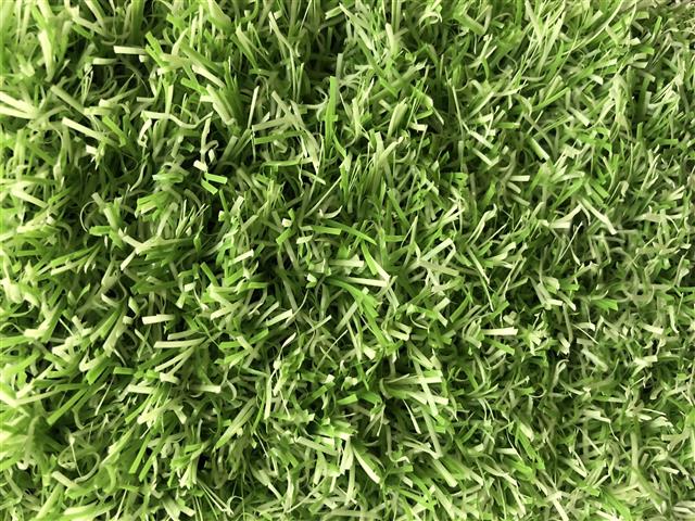 Groovy Grass Lime - 4.00m x 2.00m