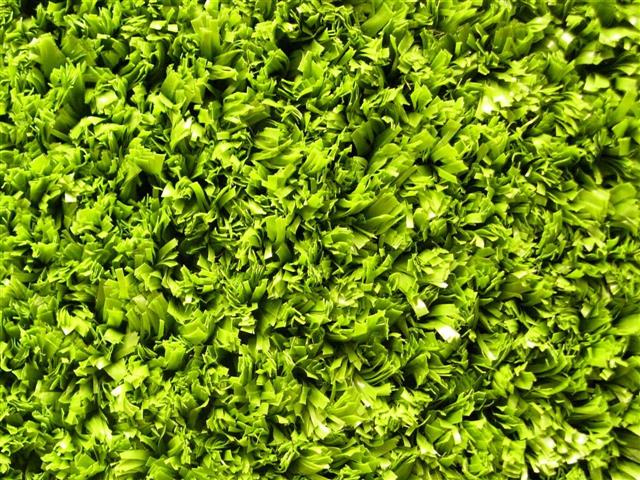 Super Verdegrass - 9.05m x 0.18m