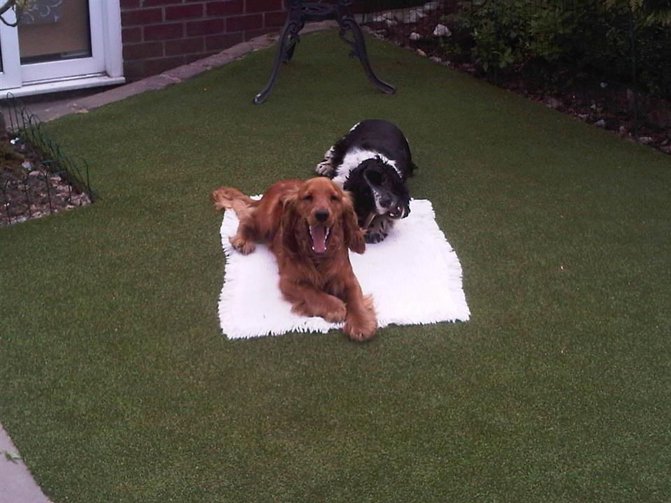 Riverside Garden Centre Install - Dog Friendly