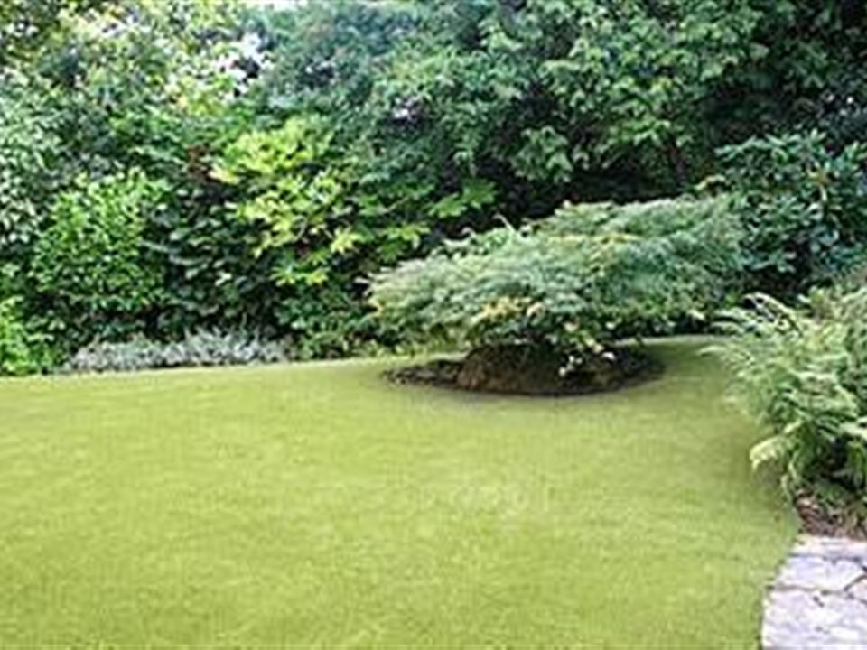 Verdeturf By Enhance Landscapes