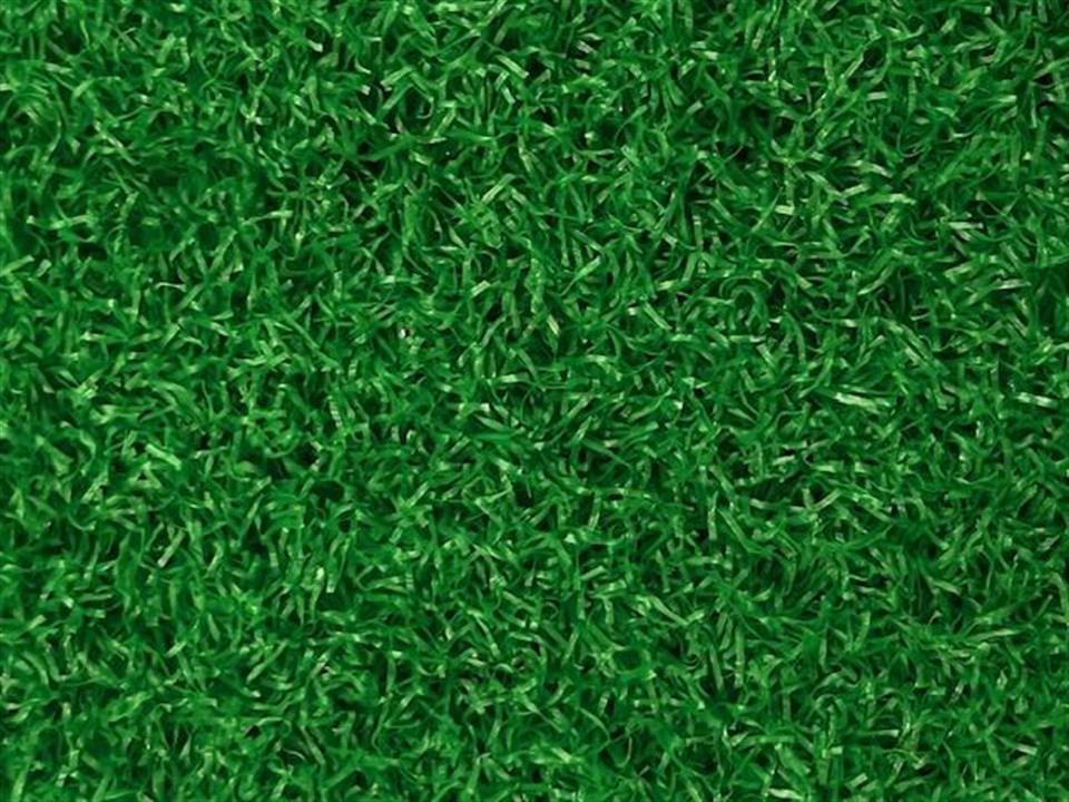verde prime lite green