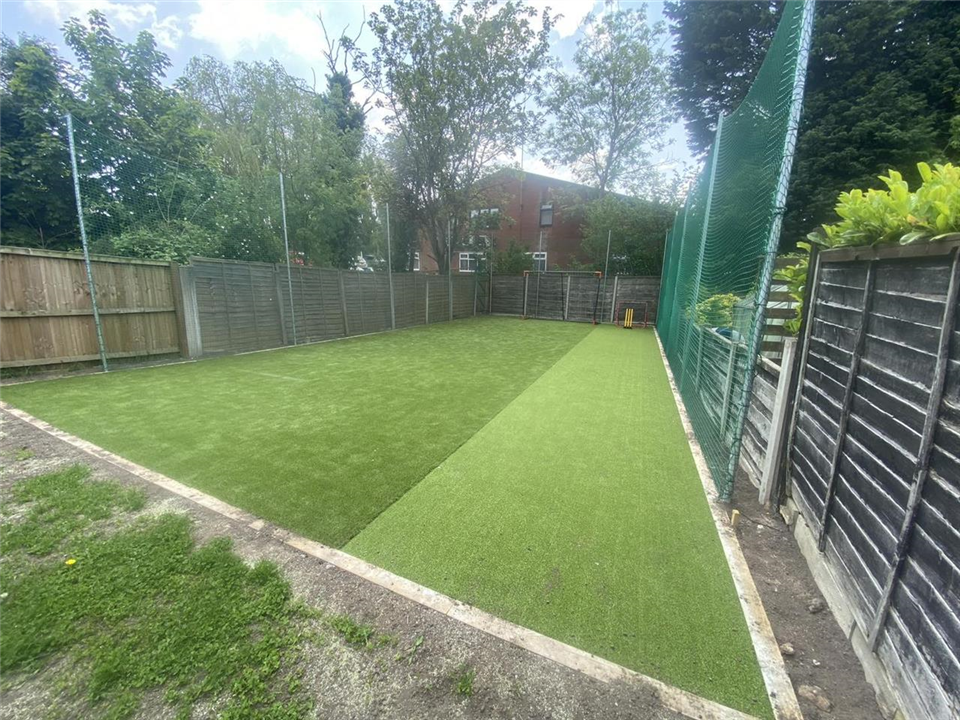 Cricket Strip for Home Use - Basic