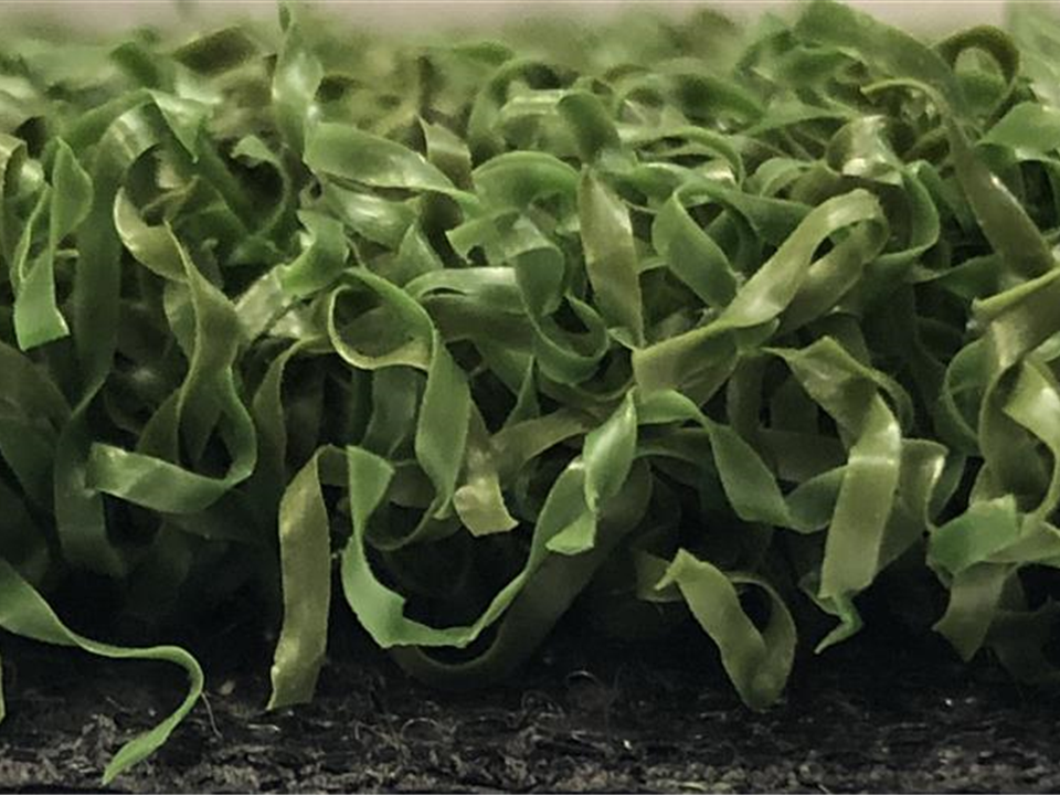 Verde Prime Green - 5.00m x 2.00m