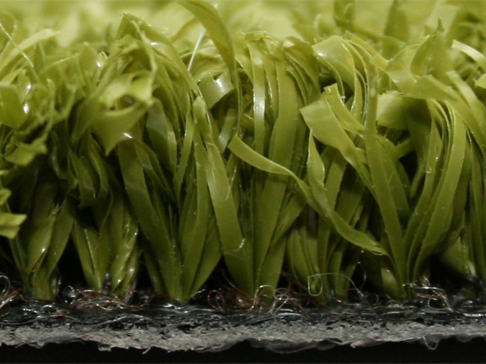 Side View Super Verdegrass