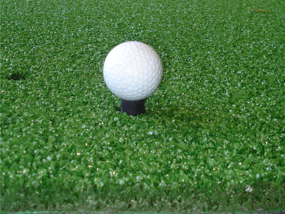 VerdeMat 3 Star Golf Mat