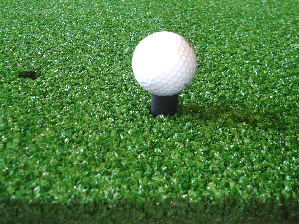 VerdeMat 2 Star Golf Mat