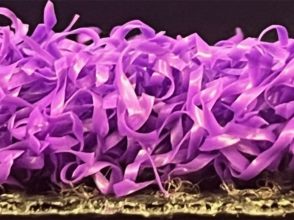 purple prime side view