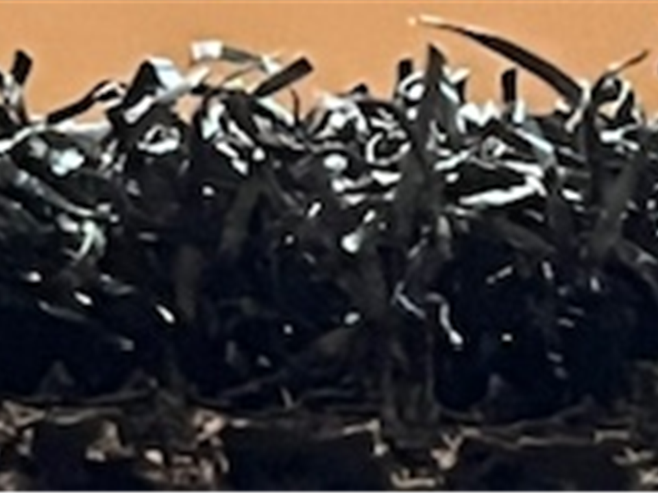 side view black verde prime lite