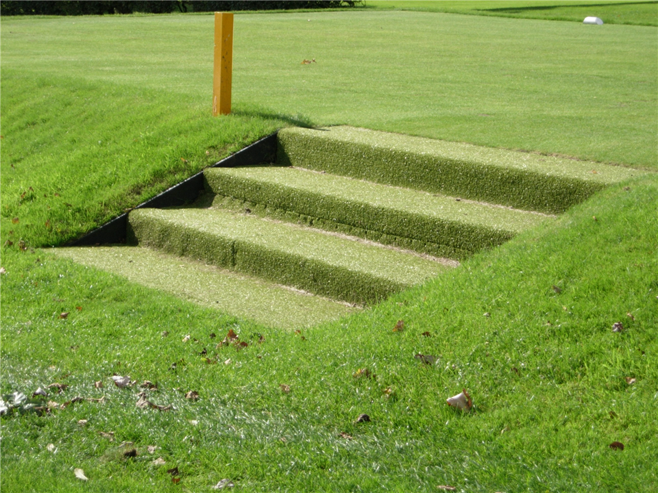 Super Verdegrass - Steps at Bolton Golf Club