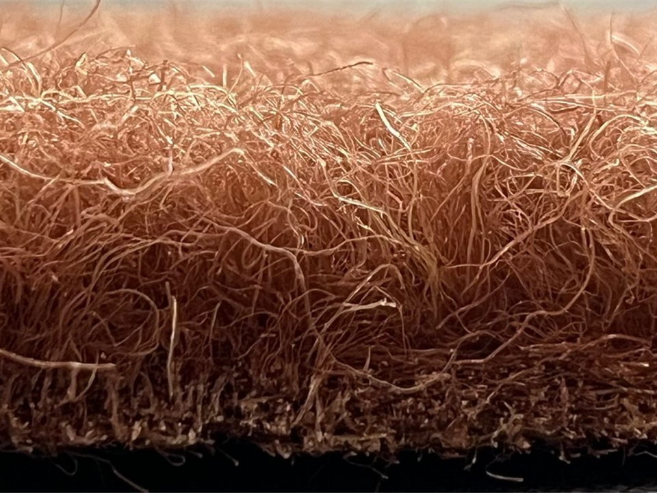 VerdeSward Chestnut side view