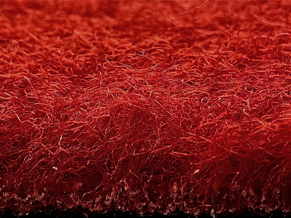 side view of VerdeSward burgundy