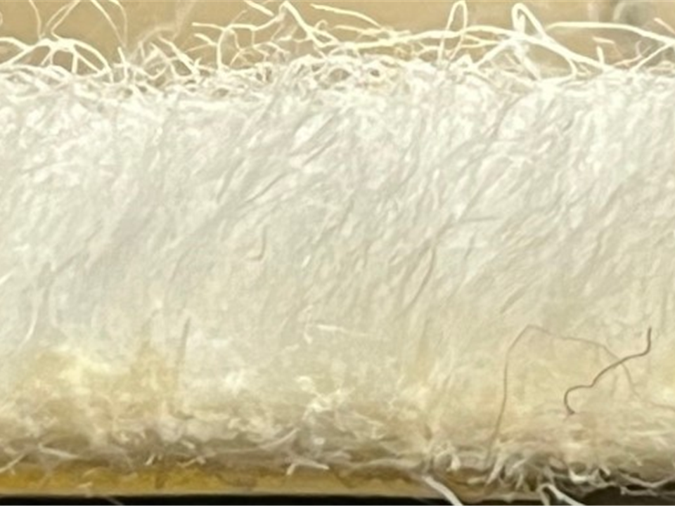 VerdeSward White side view