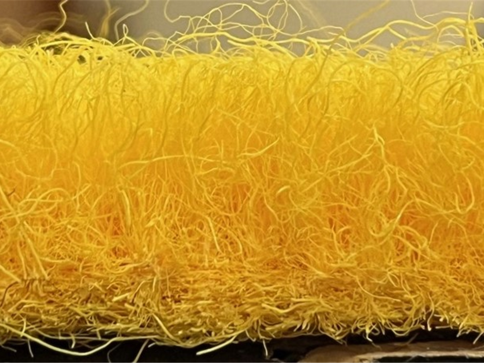 VerdeSward Yellow side view