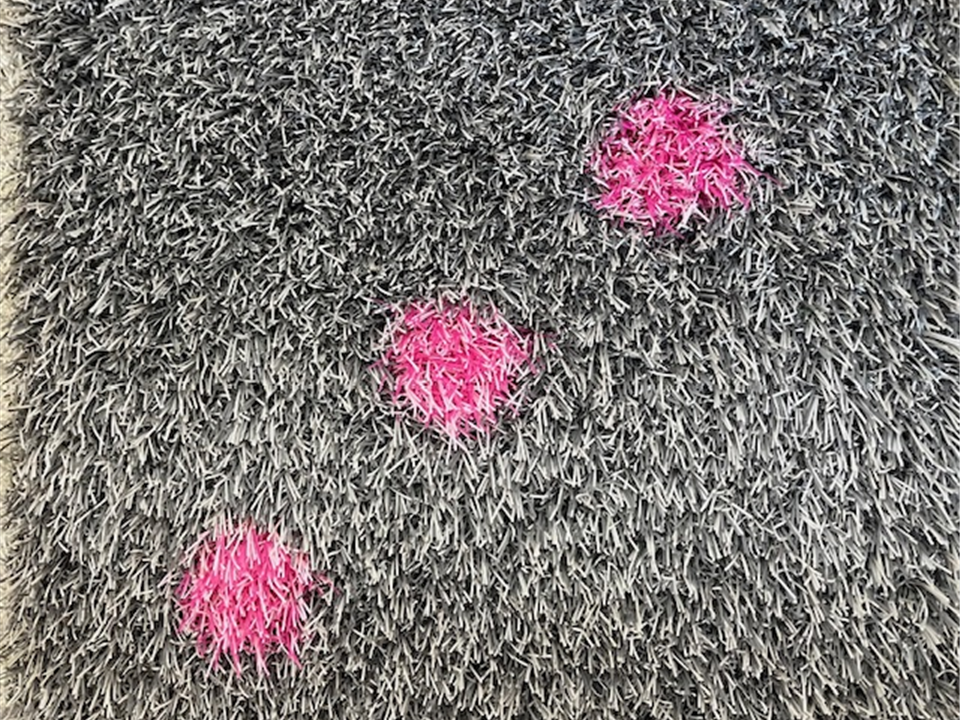 grey grass on artificial dice