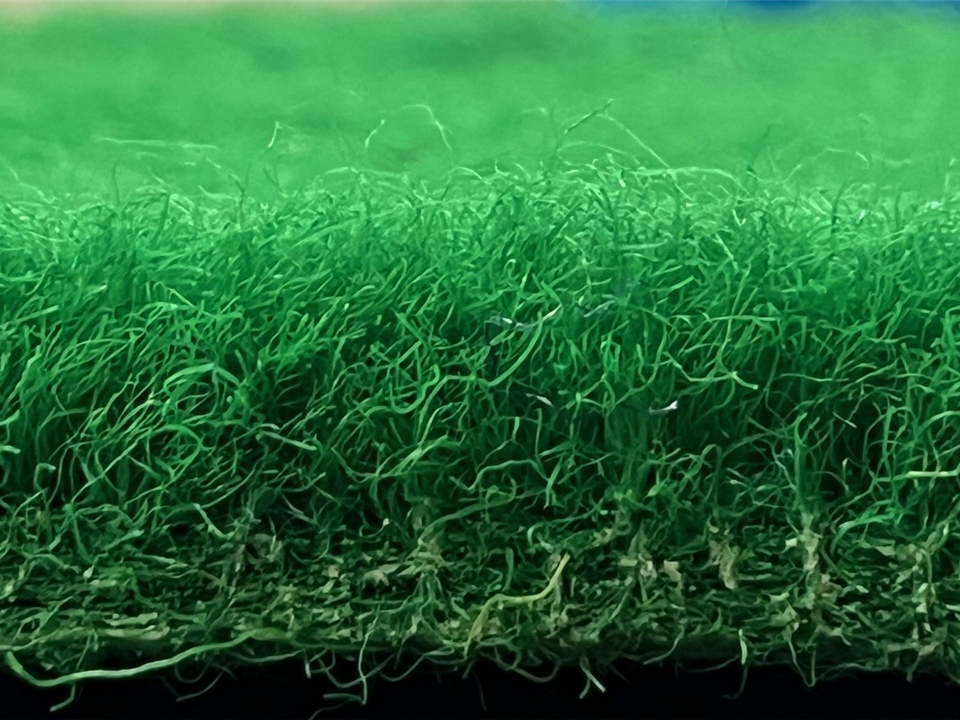 VerdeSward Green 1.50m x 4.00m side view