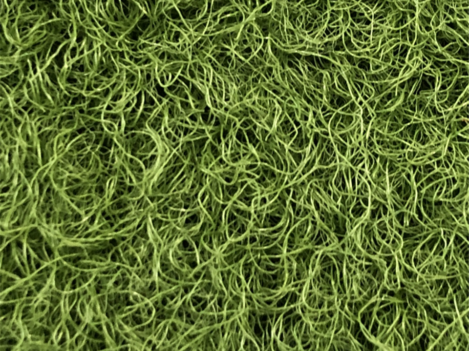 VerdeSward olive