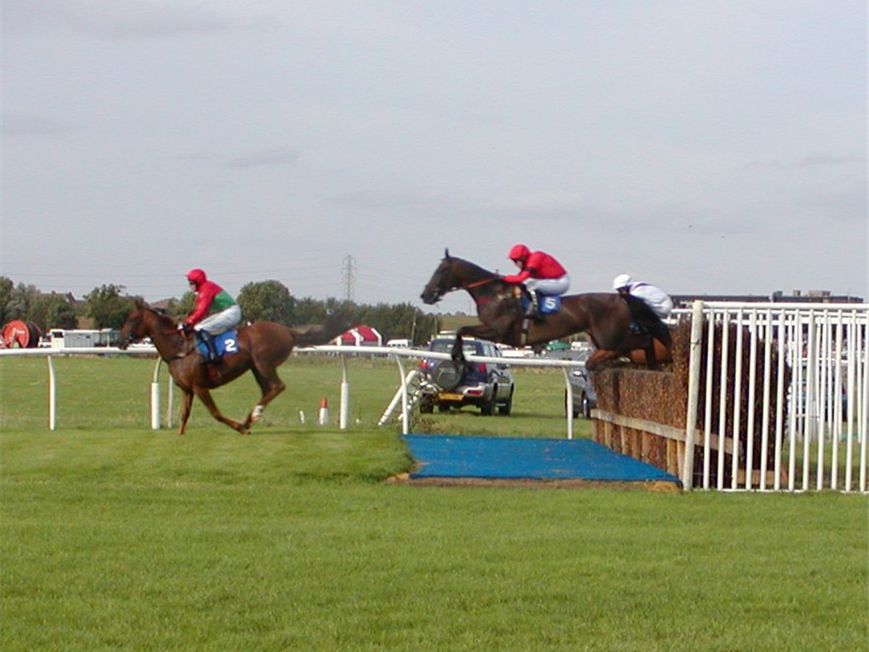 blue verdeturf at horse riding event