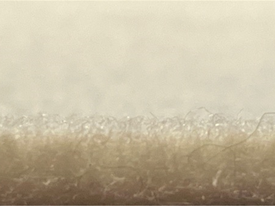 Side View of Shock Pad AP10