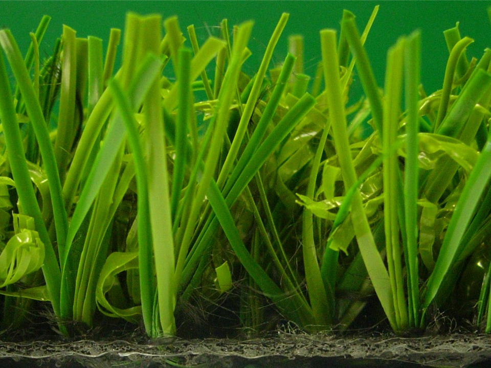 Verdeluxe - 2.80m x 4.00m