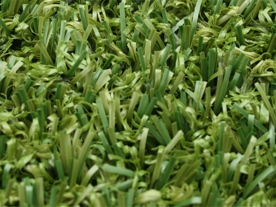 Special offers on Verdeluxe