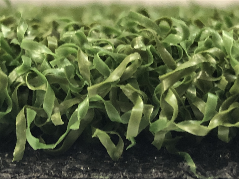 Special Offer on Verde Prime Green