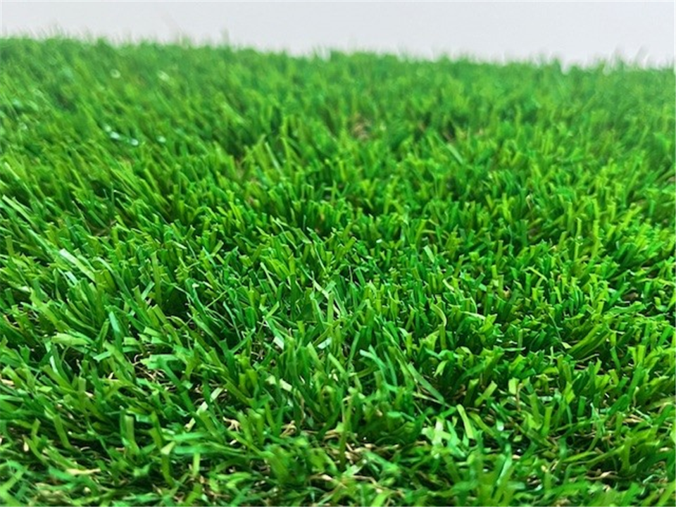 Side View of Verde Freedom