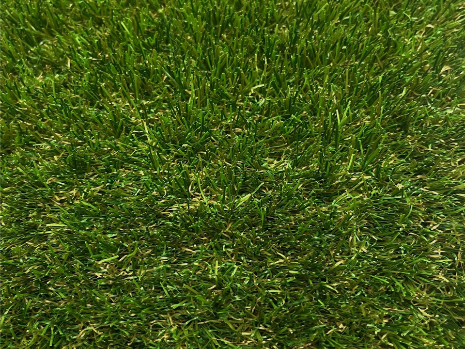 Garden Grass 35mm