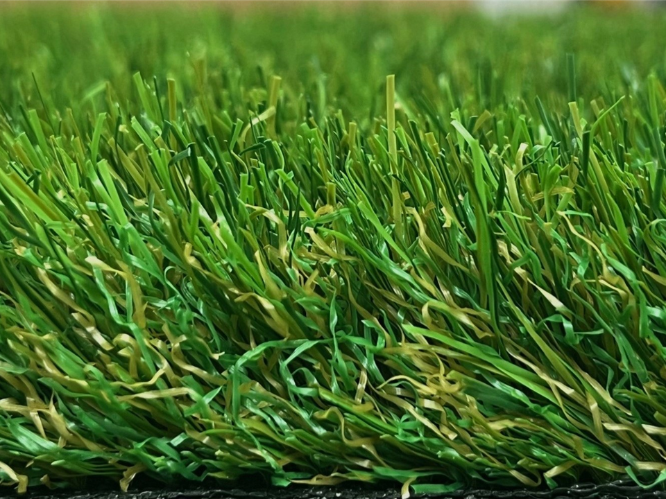 Side View Garden Grass