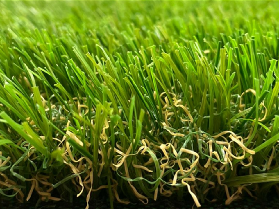 Verde Casa 35mm side view