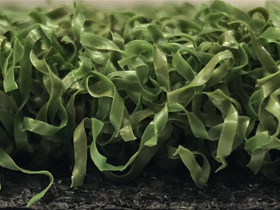 Verde Prime Green - 1.30m x 3.00m