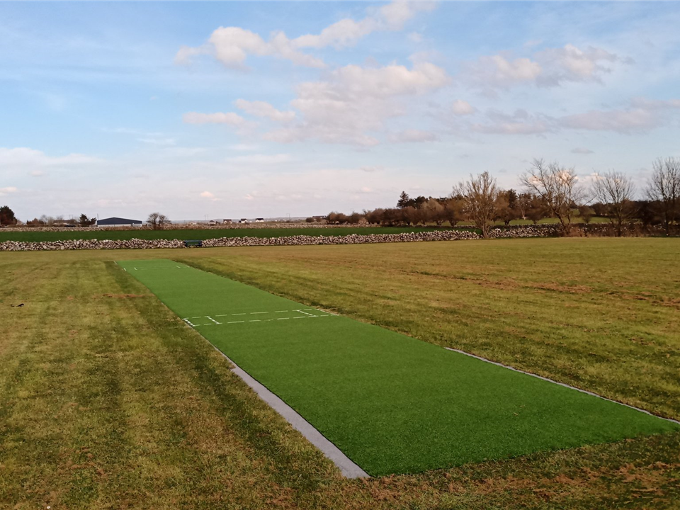 Super Verdegrass cricket surface