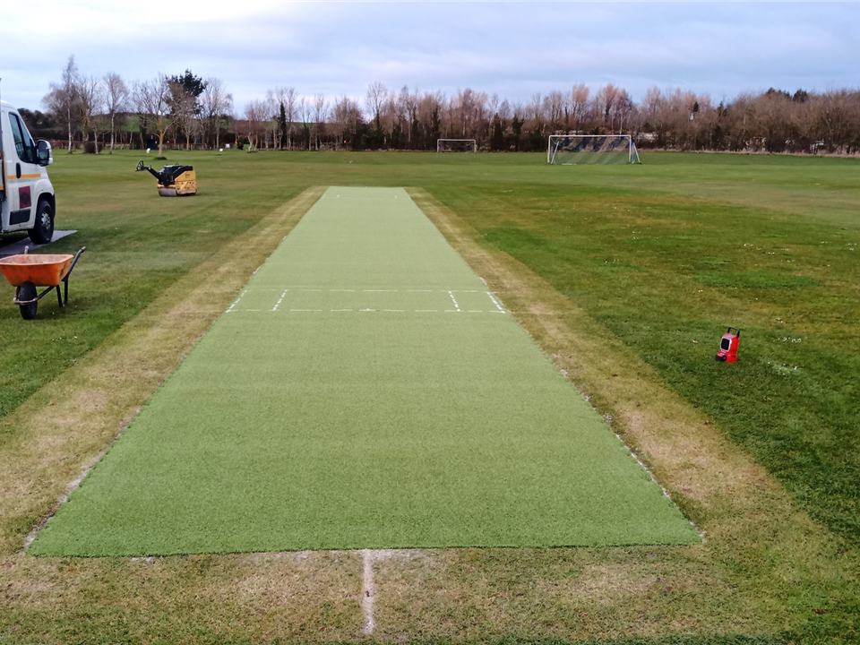 SVG Cricket Match Pitch