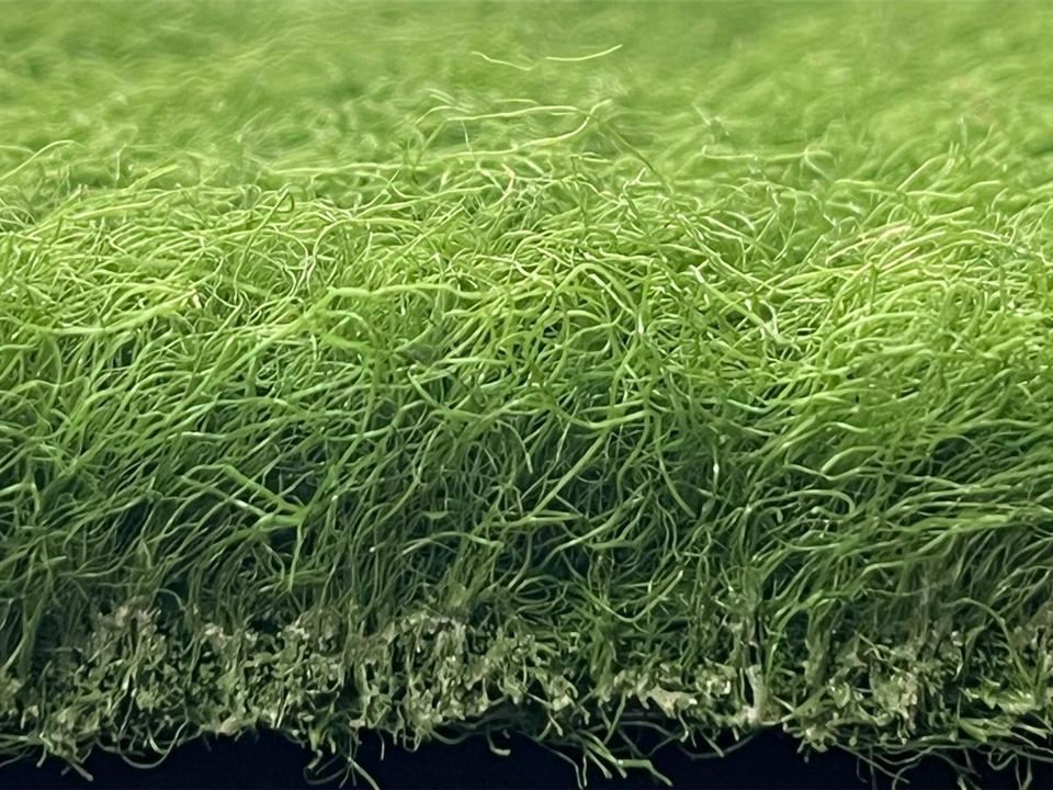 VerdeSward Olive - 6.80m x 0.40m