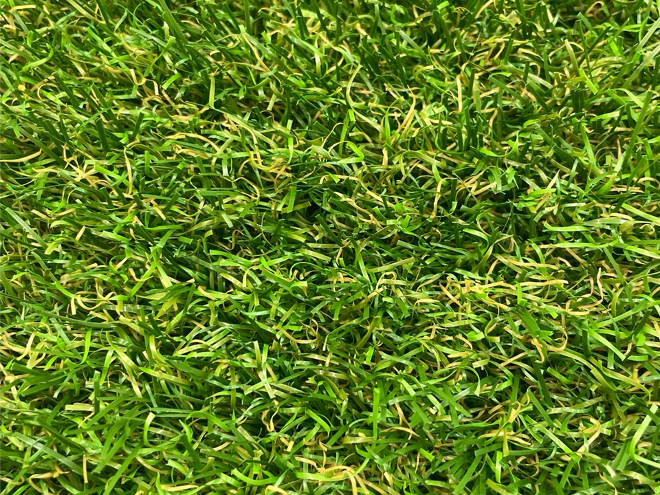 	 Verde Lotus 35mm - 11.00m x 2.00m