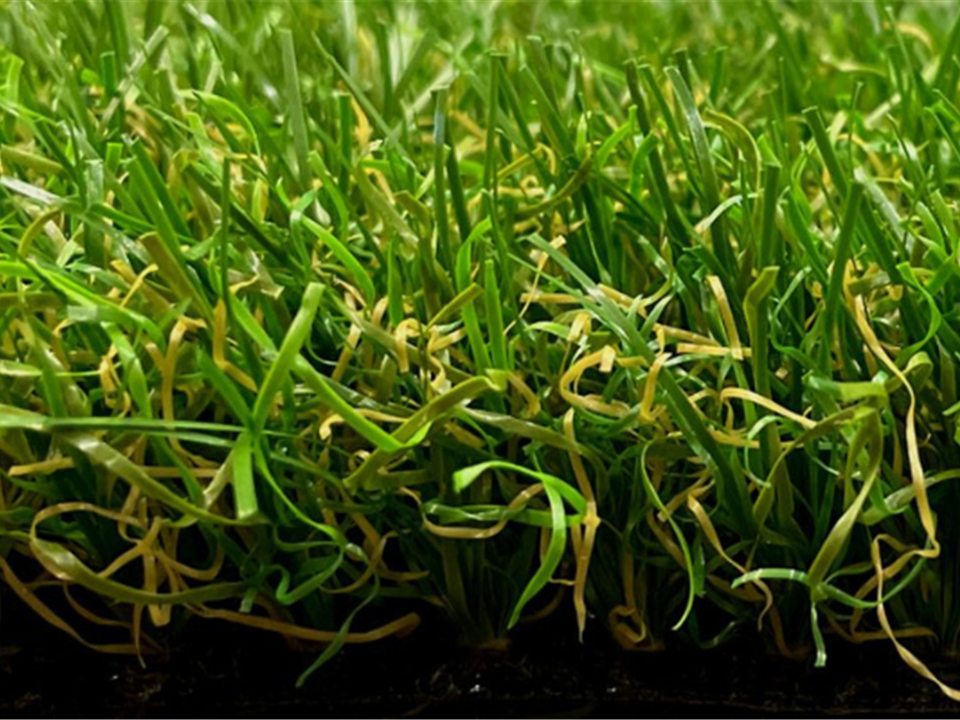 	 Verde Lotus 35mm - 11.00m x 2.00m