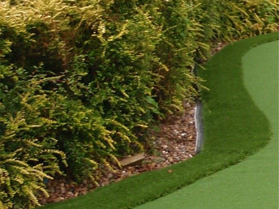 Golf Fringe or 'the rough'