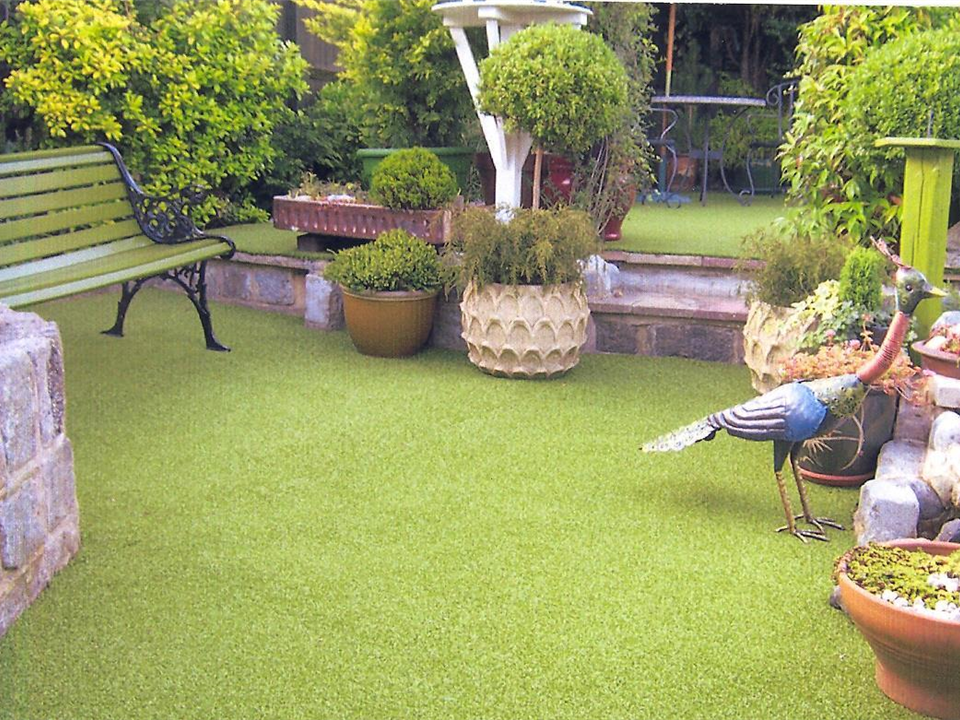 Mr Pickton &ndash; Super Verdegrass 