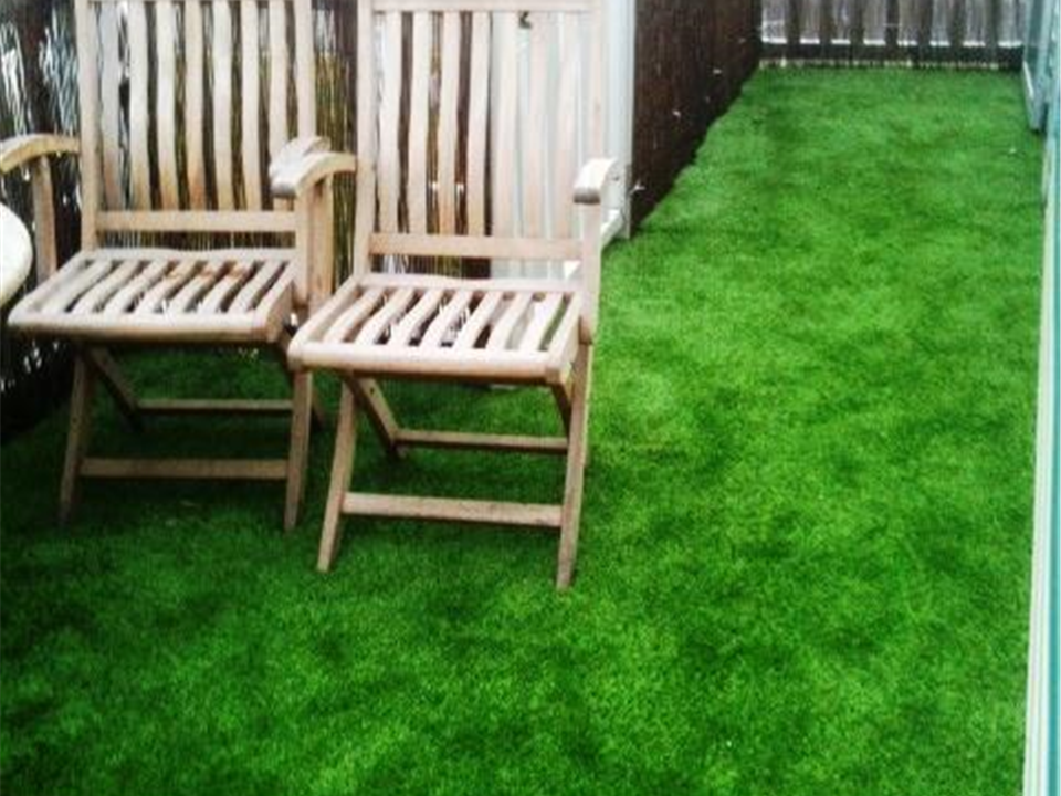 I Cant Believe Its Not Grass 