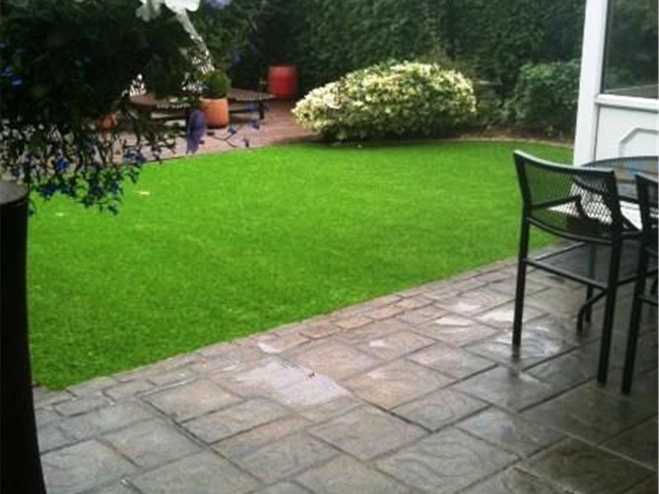 I Cant Believe Its Not Grass 