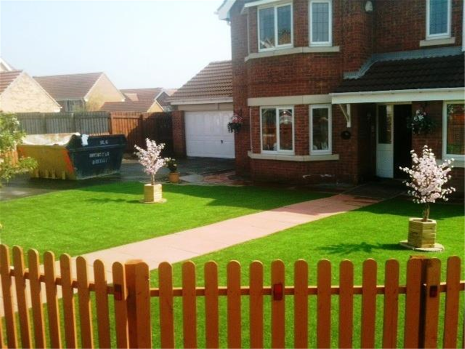 I Cant Believe Its Not Grass 