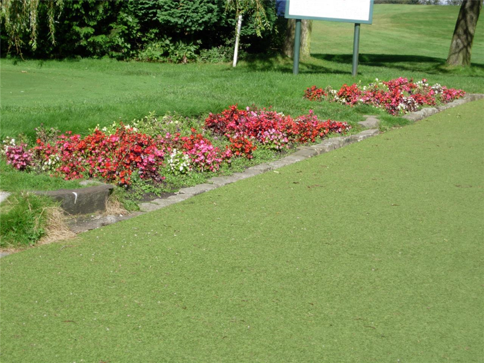 Path - Super Verdegrass 