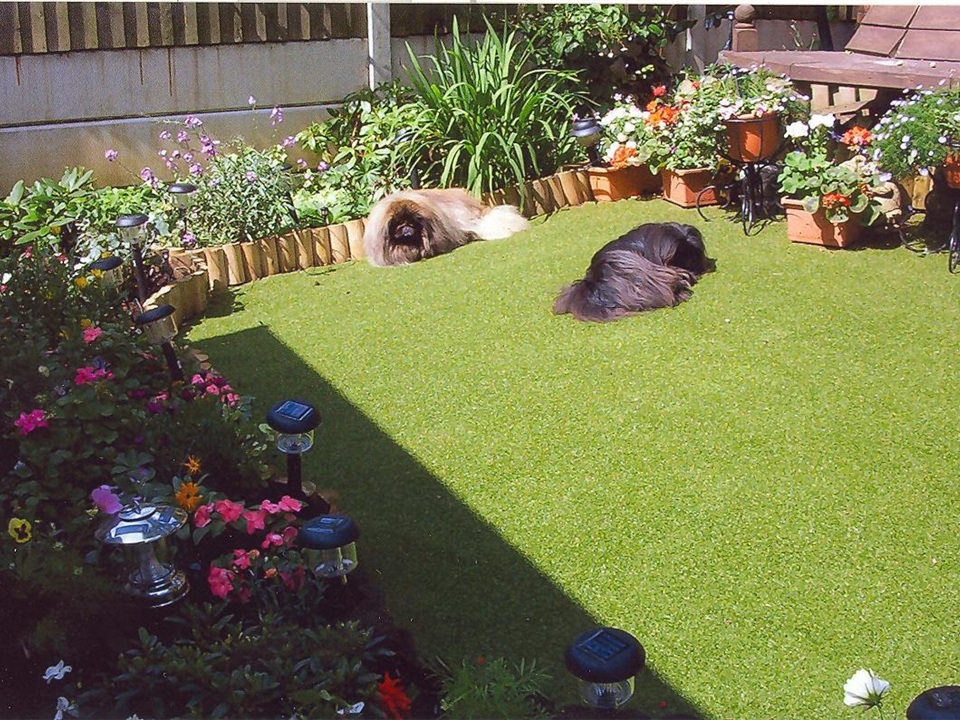 Betty Dilworth - Super Verdeturf