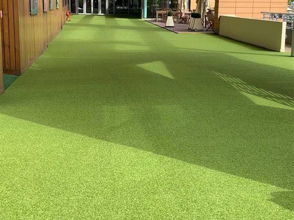 Super Verdegrass - Ascot Racecourse