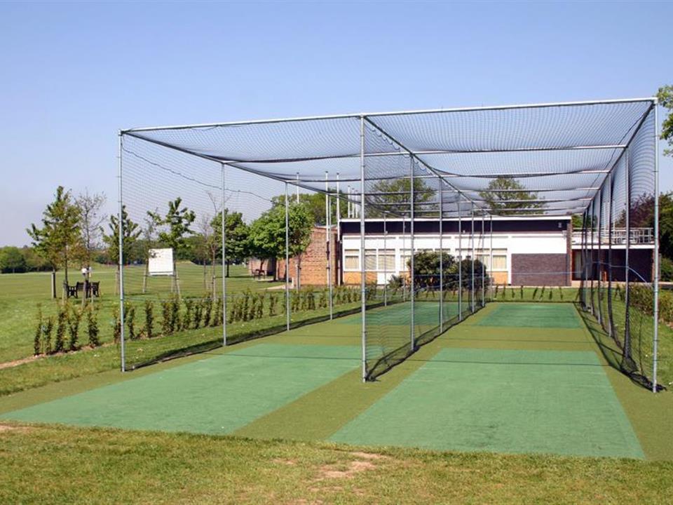 Cricket Wicket