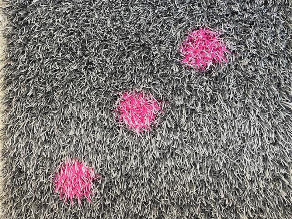 grey grass on artificial dice