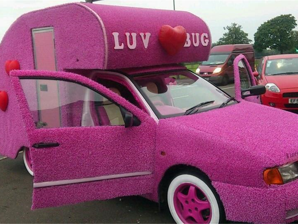 Pink Groovy Grass Luv Bug