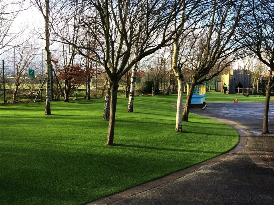 Garden House Design - Springfield School 