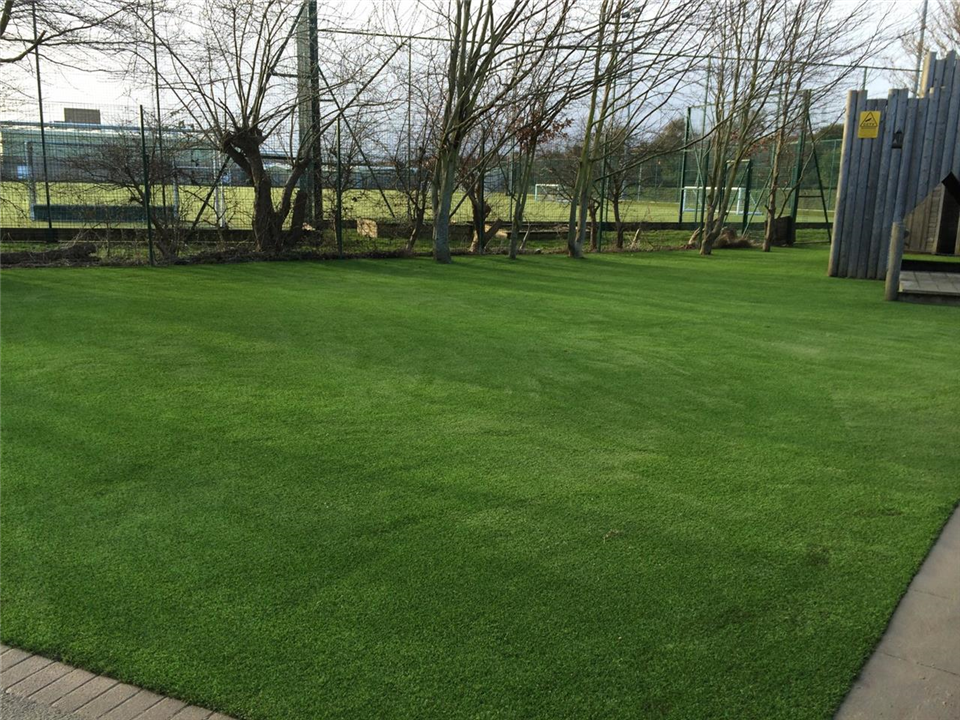 Garden House Design - Springfield School  VERDELAWN