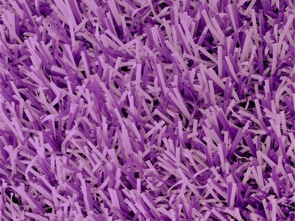 Purplr Groovy Grass